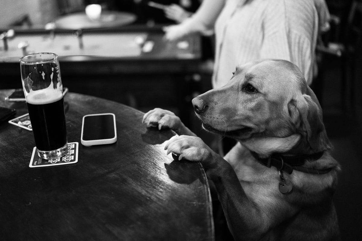 leica-q3-43-best-photo-examples-lanxon-cnet-06
