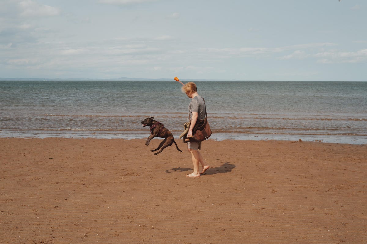 leica-q3-43-best-photo-examples-lanxon-cnet-36