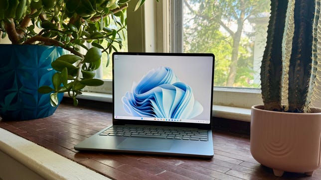 Microsoft Surface Laptop ( 13-inch ) between two house plants